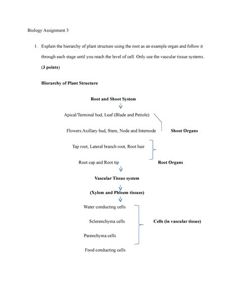 Biology Assignment 3 Final Biology Assignment 3 Explain The Hierarchy Of Plant Structure Using