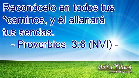 Proverbios Nvi Recon Celo En Todos Tus Caminos Y L