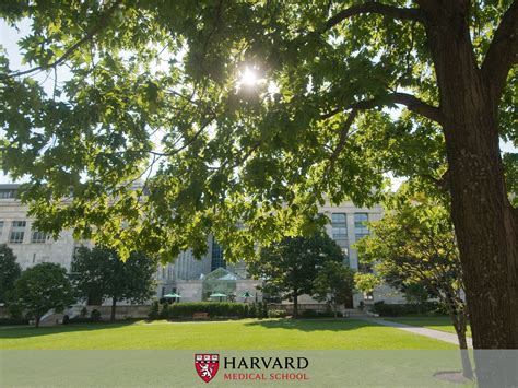 Harvard Wallpapers - 4k, HD Harvard Backgrounds on WallpaperBat