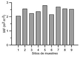 Índice de área foliar Download Scientific Diagram