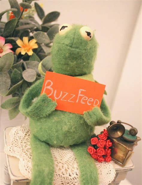 We Found The Creator Of The Sad Kermit Meme And She's Got A Vault Of Kermit Memes