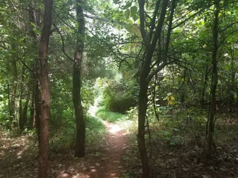 Best Hikes And Trails In Matthews Alltrails