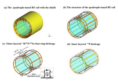 ISMRM22 RF Coils Technologies Sequences I