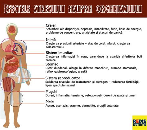 Efectele Stresului Asupra Organismului