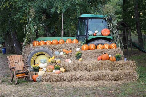 Fall Festival Sign | In the Field