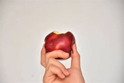 Hand Apple Images Search Images On Everypixel