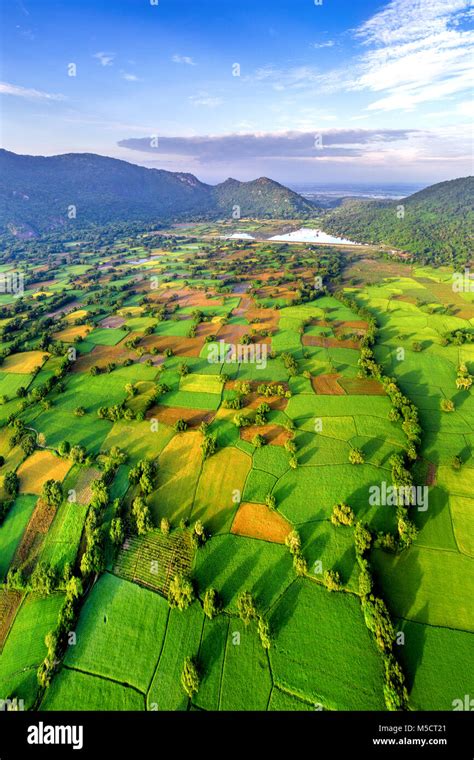 Ta Pa Rice Field In Mekong Delta An Giang Vietnam Stock Photo Alamy