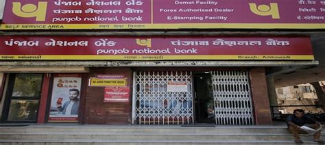 Pnb Q2 Results Net Profit Rises 327 Net Interest Income Stands At ₹9923 Crore