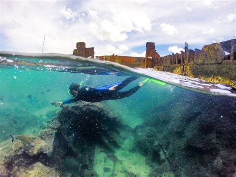 Snorkel The Tangalooma Wrecks Moreton Island Tours Hire