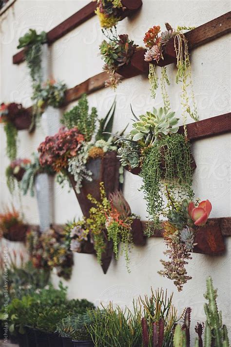 Indoor Succulent Wall Garden - e-ntgreenlife