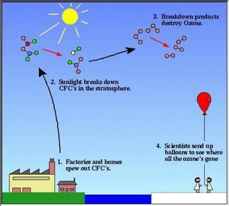 HCFC's & CFC's - ORGANIC CHEMISTRY