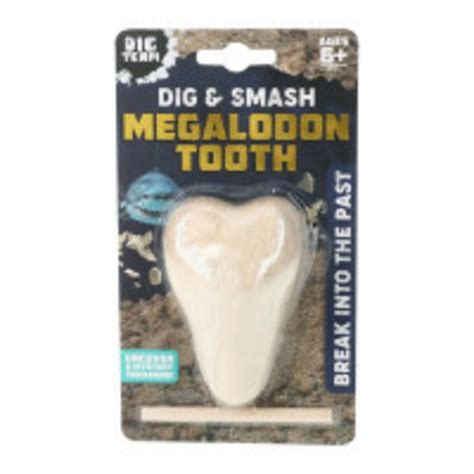 dig team dig smash megalodon tooth   delivery  pickup