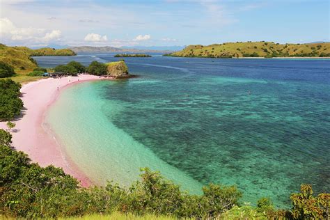 Pink beach, Indonesia Photograph by Alex Nikitsin - Pixels