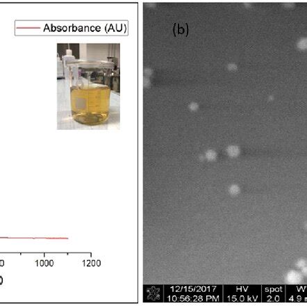 The Characterization Of The Agnps A Shows The Uv Vis Spectrum Of The