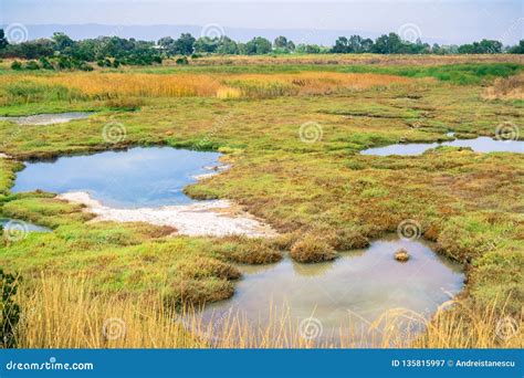 Marsh Landscape, Shoreline Park, Mountain View, California Stock Image - Image of area ...