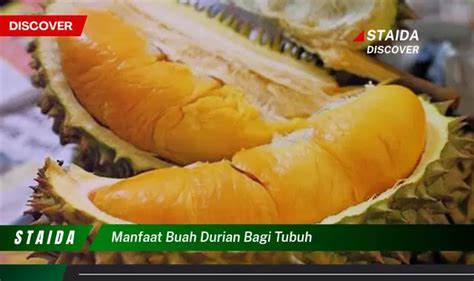 Bukan Cuma Buah Manggis Ketahui 5 Manfaat Buah Durian Yang Wajib Diketahui