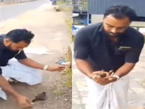 Kerala Man Rescues Bird By Performing Cpr News18