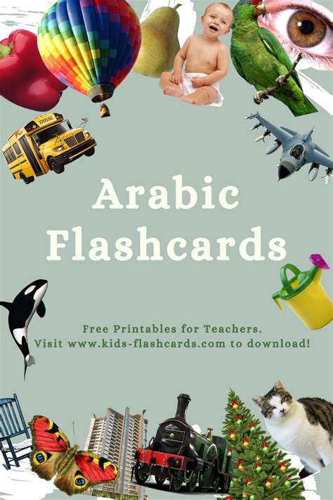 1300 free arabic vocabulary flashcards in 4 printable formats – Artofit