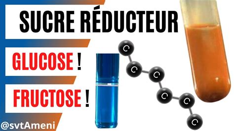 Comment faire la différence entre le glucose et le fructose