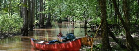 Wolf River Conservancy - Community & Government - Memphis - Memphis