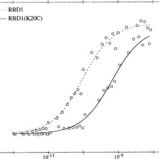 Gel Shifts Of Utr Utr And Hairpin Hp By Rbd And Rbd K C