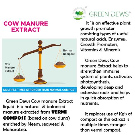 Cow manure extract liquid fertilizer