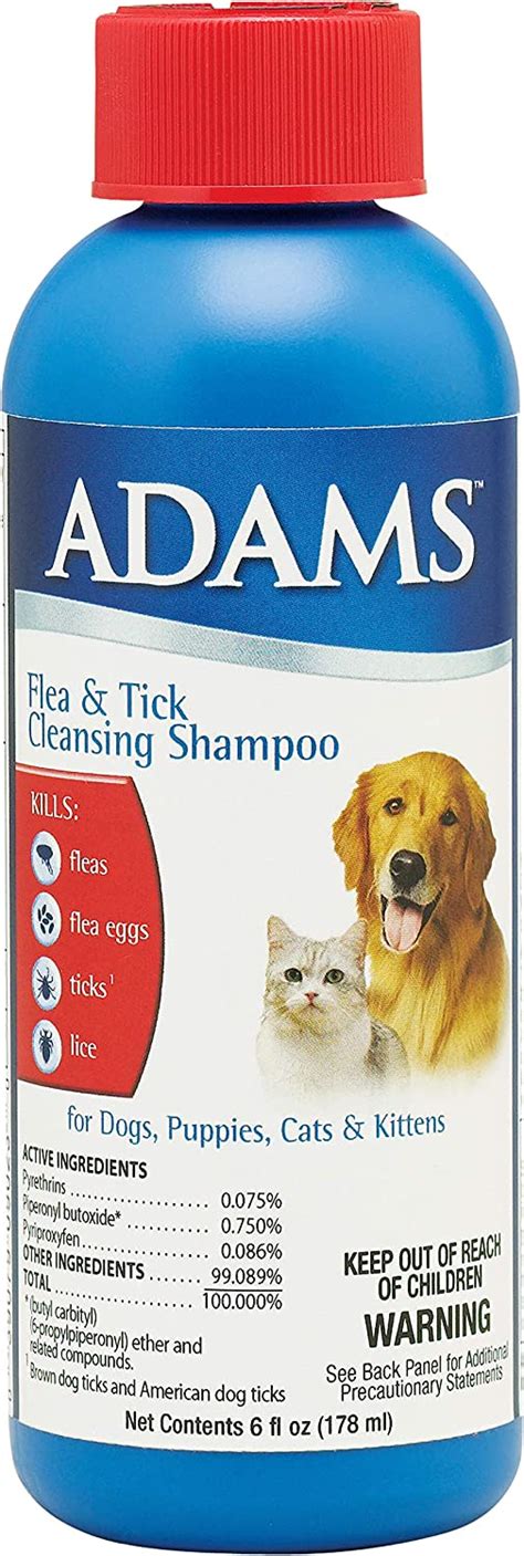 Best Flea Shampoos For Cats Munchkin Kitten Store