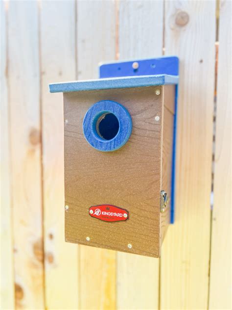 How To Choose The Right Birdhouse To Attract Birds