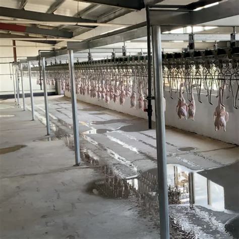 Poultry Abattoir Slaughter Process Line Slaughtering Equipment Halal