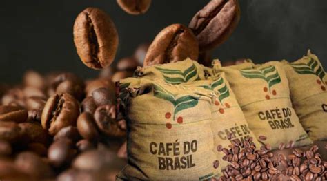 Brasil O maior produtor e exportador de café do mundo Café Conto