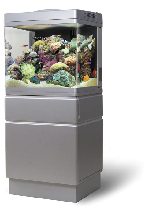 L aquarium récifal Nano Reef