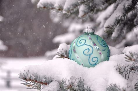 christmas, Branch, Christmas, Snow Wallpapers HD / Desktop and Mobile ...