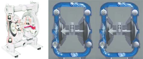 Diaphragm Pump Working Principle - Riset