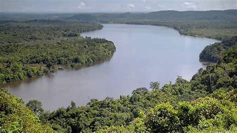 Biof Lica Na Conserva O De Floresta Na Amaz Nia E Gera O De Cr Ditos