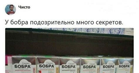 Секрет бобра | Пикабу