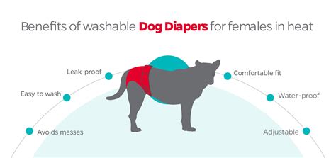 how to know when your female dog is in heat