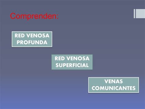 Venas Del Miembro Superior Ppt