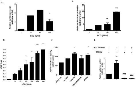 Figure From The Alternative Epac Camp Pathway And The Mapk Pathway