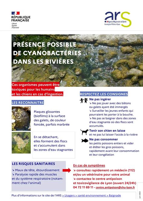 Prévention Cyanobactéries dans les rivières