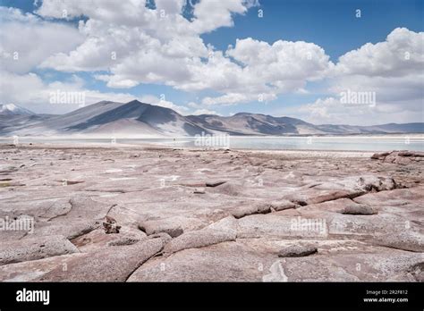 Piedras Rojas Lagoon Altiplanicas Lagoon Altiplano Plateau Atacama