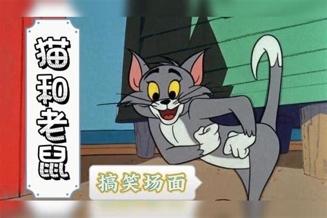 猫和老鼠：盘点剧中搞笑场面，汤姆的尾巴作用还挺大 汤姆 场面 剧中