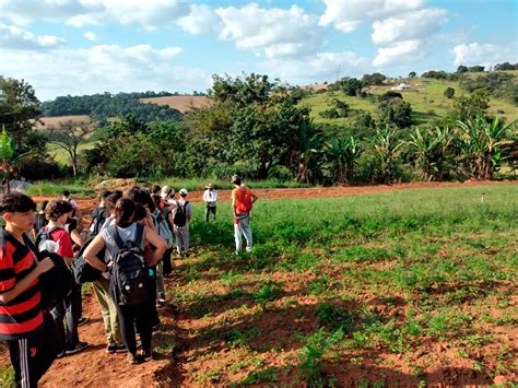 Estudo do Meio Campinas 2023 Carandá Educação Um mundo em