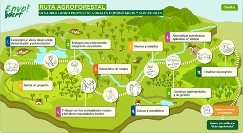 ¿que Son Los Sistemas Agroforestales Y Porque Son Importantes Para Una