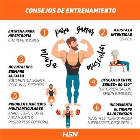 Cómo entrenar para aumentar la masa muscular Material de Deporte Barato