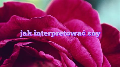 jak interpretować sny Znaczenie Snów