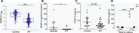 Reduced Vegf In The Lungs Of Ipf Patients A Reduced Levels Of