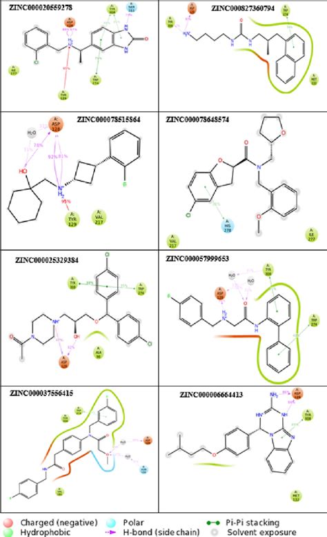 Figure 10 From Probing The Activation Mechanisms Of Agonist DPI 287 To