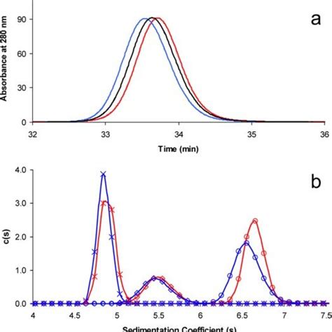 Size Exclusion Chromatography And Sedimentation Velocity Analysis Of