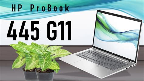 New Hp Probook 445 G11 Laptop 2024 With Amd Ryzen Processor And Amd Radeon Graphics Youtube