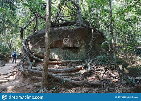 A Steep Mountain Path Towards Kbal Spean In Siem Reap Cambodia Stock